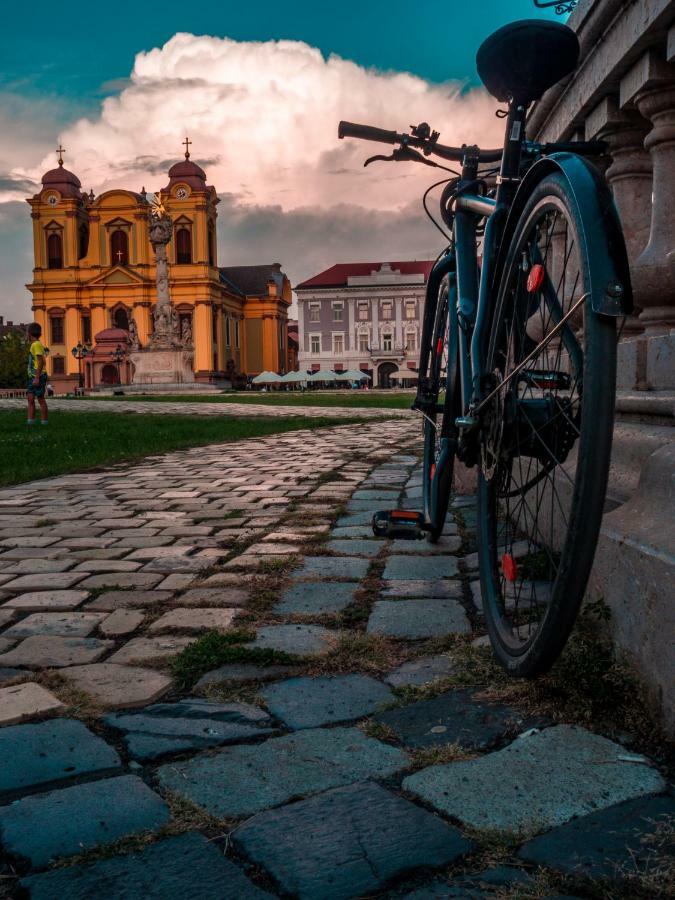 Business And Travel * Timisoara
