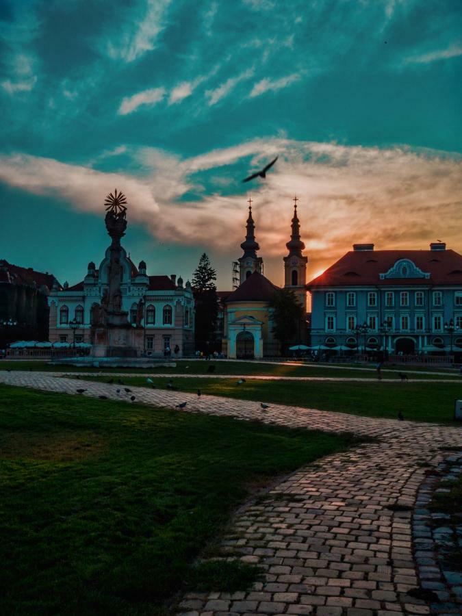 Appartamento Business And Travel Timisoara